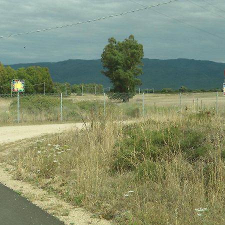 Apartament Tra Mare E Monti Santa Giusta Zewnętrze zdjęcie