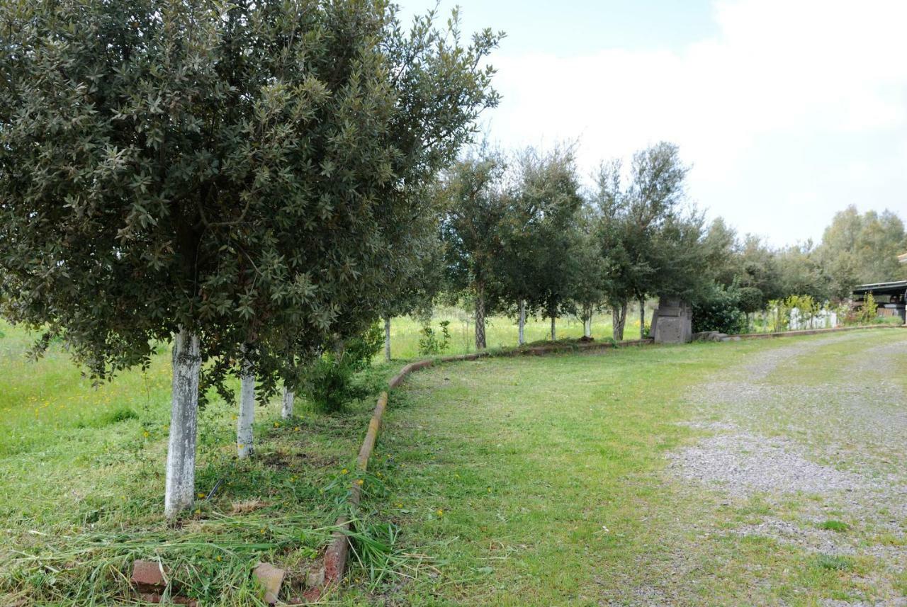 Apartament Tra Mare E Monti Santa Giusta Zewnętrze zdjęcie