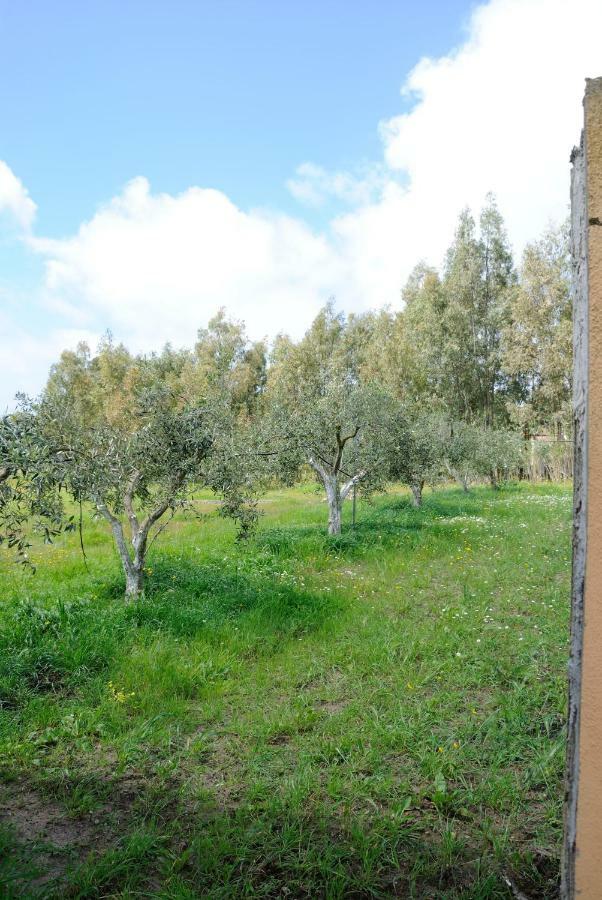 Apartament Tra Mare E Monti Santa Giusta Zewnętrze zdjęcie