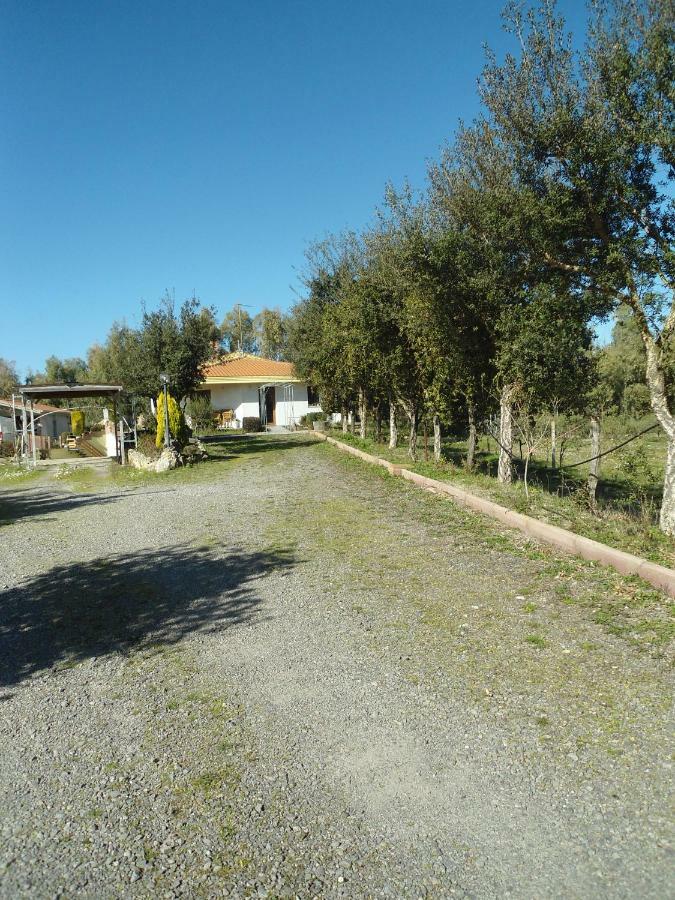 Apartament Tra Mare E Monti Santa Giusta Zewnętrze zdjęcie