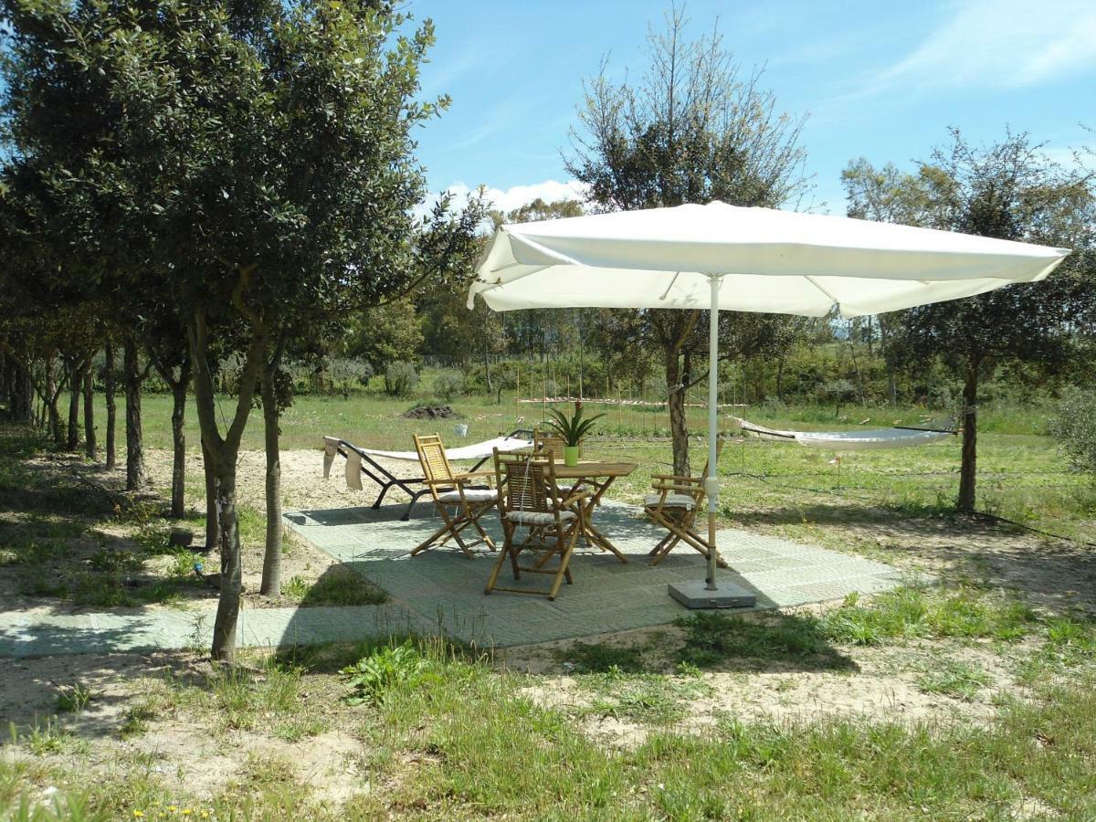 Apartament Tra Mare E Monti Santa Giusta Zewnętrze zdjęcie